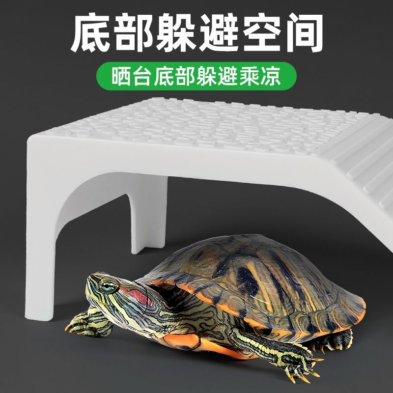 龟缸巴西龟草龟半水龟水陆两用爬台休息躲避浅水晒背爬坡台