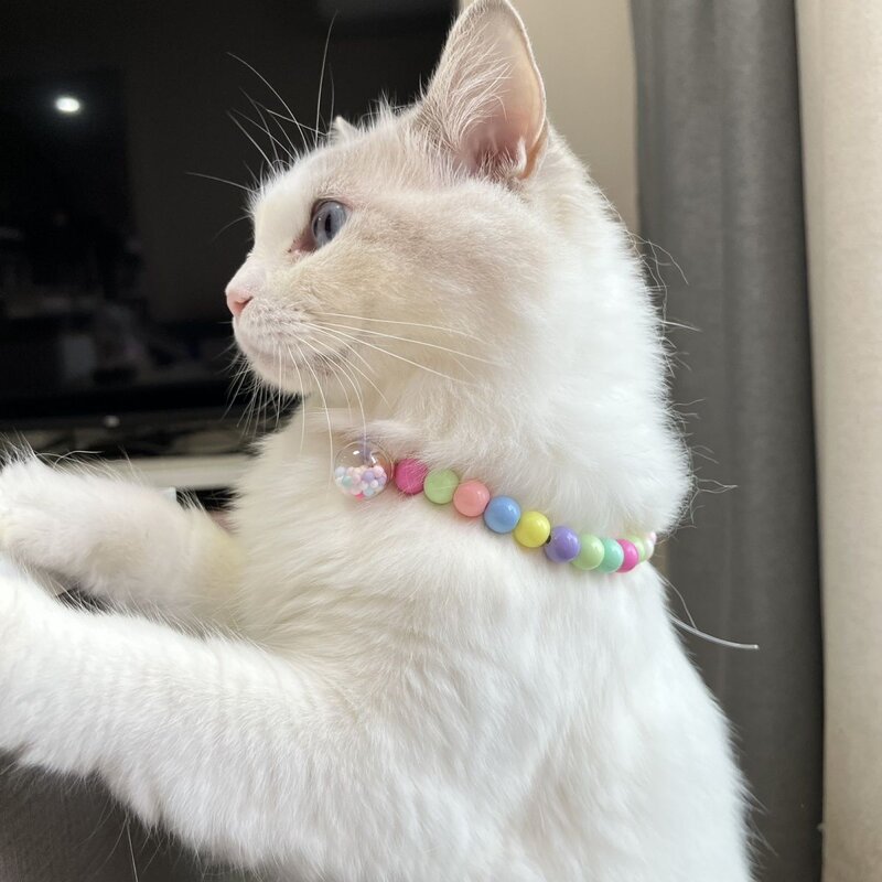 diy手工高颜值彩珠挂脖项链猫狗可爱项圈宠物脖颈装饰配饰