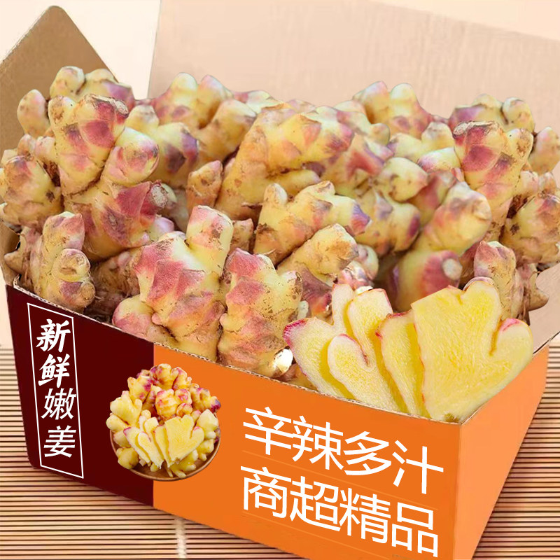 小黄姜嫩姜5斤整箱包邮力荐