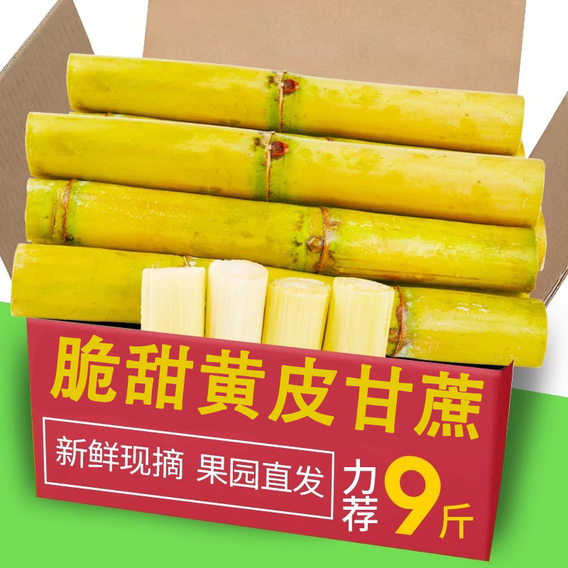 广西新鲜黄金甘蔗力荐9斤包邮
