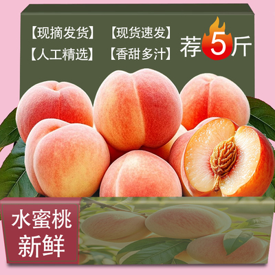 水蜜桃5斤整箱包邮力荐