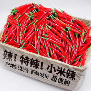 小米辣椒新鲜整箱批发小米椒朝天椒特辣超辣薄皮土红辣椒指天椒