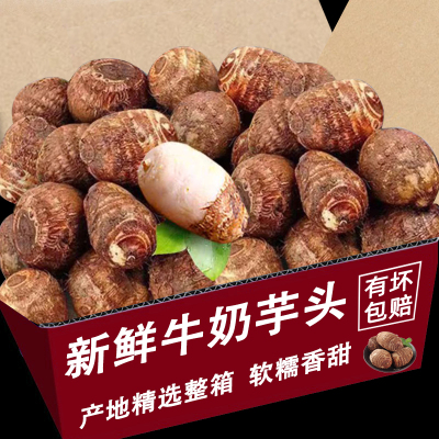 牛奶芋头5斤整箱包邮力荐