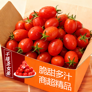 千禧圣女果新鲜现摘当季脆爽可口小番茄千禧水果蔬菜精选力荐