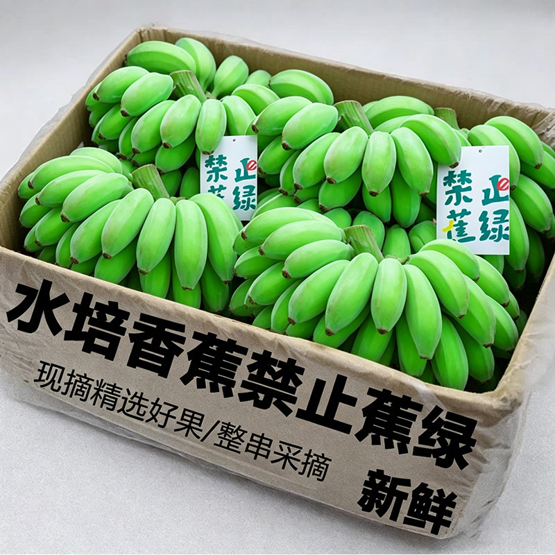 禁止“蕉绿”网红办公室桌面水培