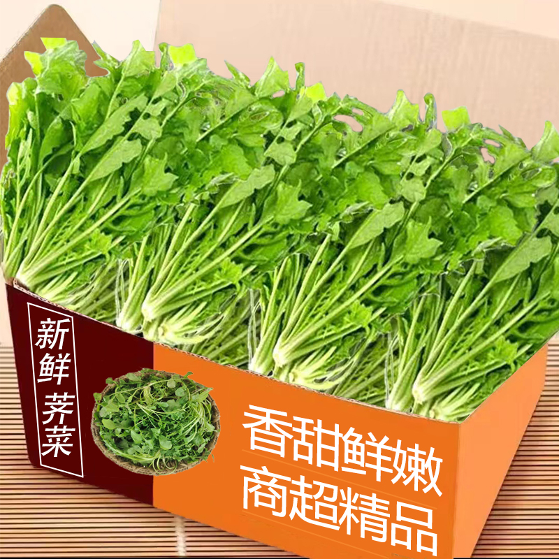 当季新鲜荠菜整箱直发