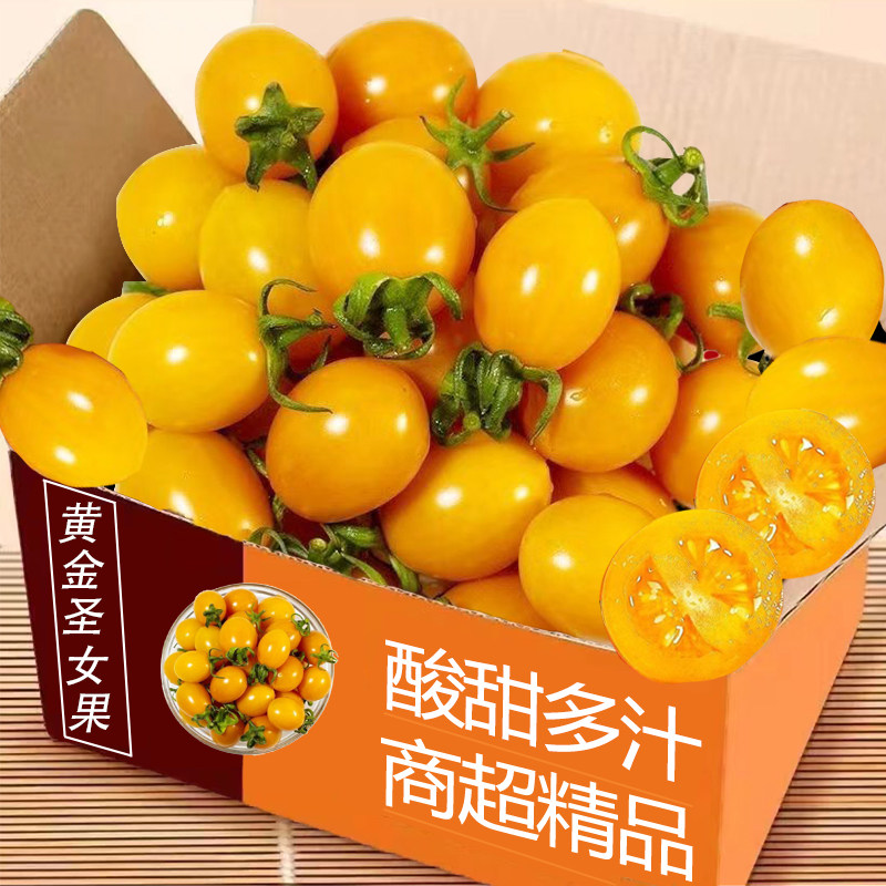新鲜黄金圣女果5斤樱桃小番茄现摘自然熟酸甜黄皮西红柿水果包邮,水产肉类/新鲜蔬果/熟食,番茄,淘宝优惠券,粉丝福利购,淘宝优惠卷
