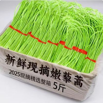 当季新鲜黎蒿整箱包邮