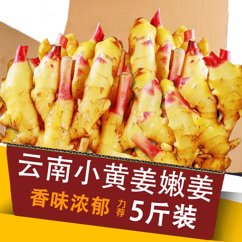 云南嫩姜5斤整箱包邮力荐