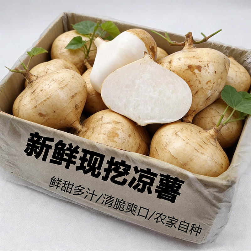 云南新鲜凉薯地瓜土瓜白心番薯当季现挖脆甜多汁清甜脆爽农家自种