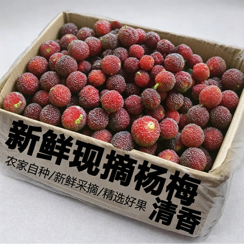 应季新鲜杨梅5斤整箱包邮