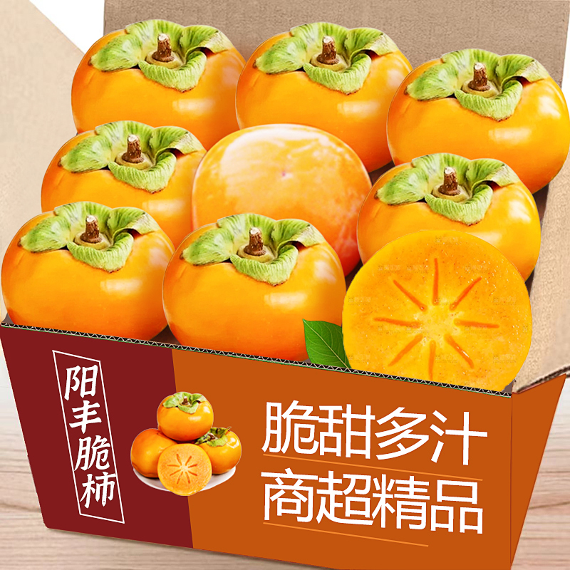 巧克力脆柿子脆甜新鲜特大