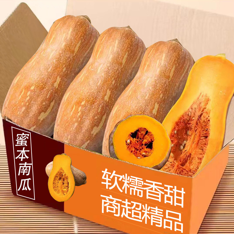 正宗云南本地农家自种老南瓜9斤粉糯香甜新鲜现卖蜜本黄南瓜蔬菜