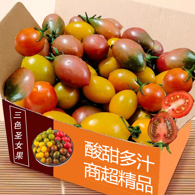 当季三色紫弹头迷彩小番茄圣女果西红柿新鲜水果番茄现摘现发3斤,水产肉类/新鲜蔬果/熟食,番茄,淘宝优惠券,粉丝福利购,淘宝优惠卷