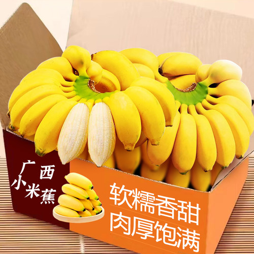广西小米蕉新鲜发货香甜