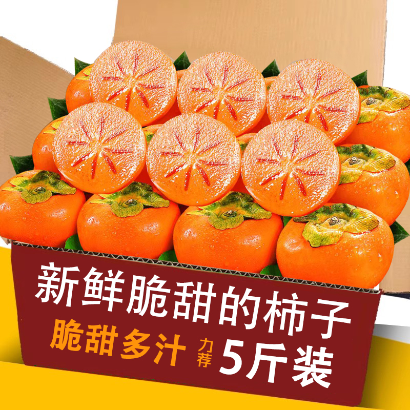 新鲜脆柿子5斤整箱包邮亲