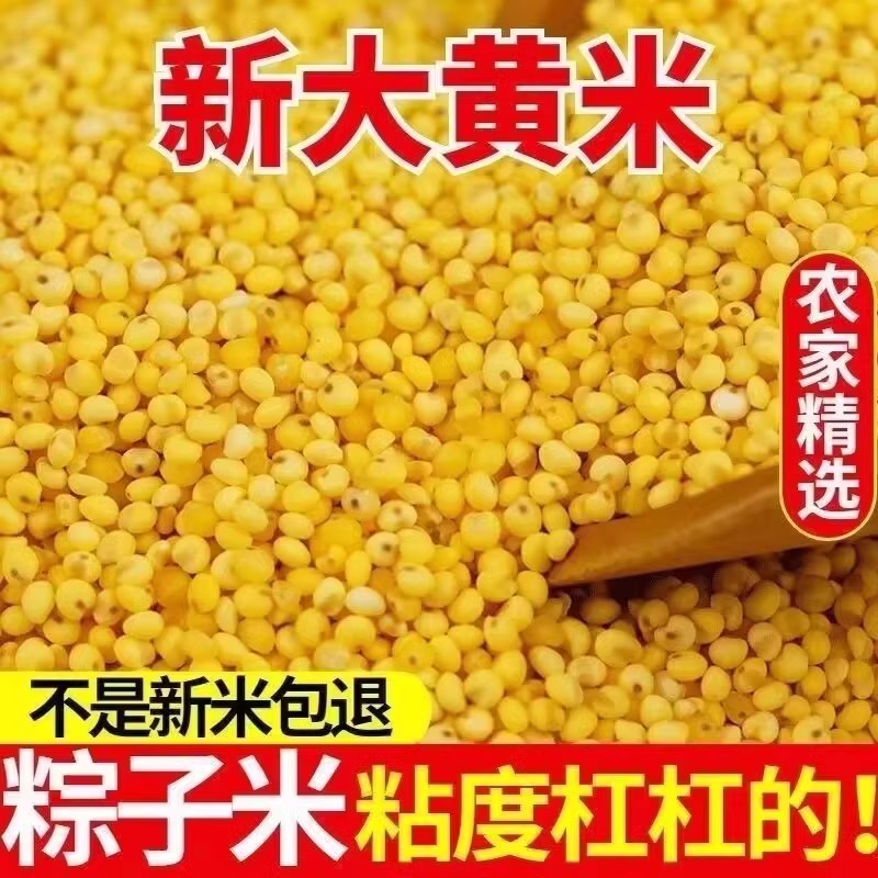 现货山西农家新糜子大黄米软糯小米江米软米粘米年糕黏米包粽子专