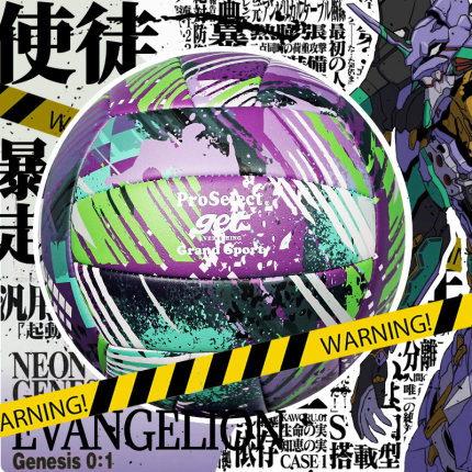 ProSelect专选学生中考考试专用排球5号 EVA配色训练比赛硬排软皮