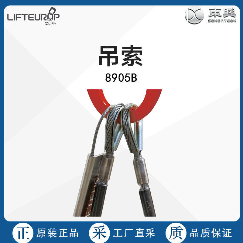 法国直采LIFTEUROP钢丝绳吊索8905B多型号