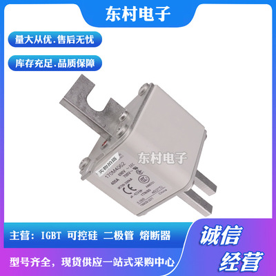 熔断器170M4062 170M4063 170M4064 170M4065全新现货