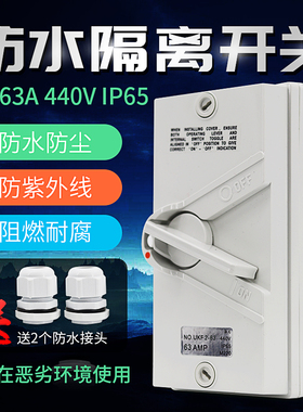 室外防水隔离开关UKF-2P20A/35A/63A户外防雨单项负荷开关220VAC