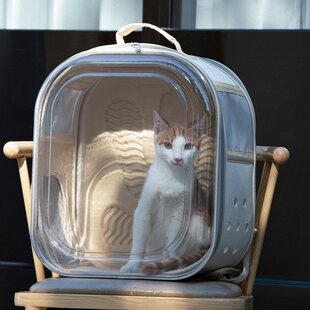 厂家直供宠物双肩猫包狗包外出便携透明太空舱大空间可折叠拆卸