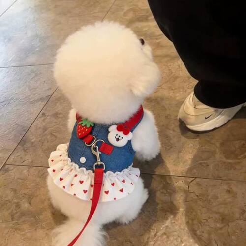 宠物薄款牛仔牵引裙泰迪小型犬猫咪公主裙胸背衣服防掉毛