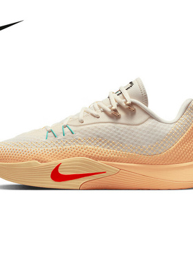 NIKE耐克男鞋25冬新款运动鞋S.T. FLARE气焰实战篮球鞋IM6681-067