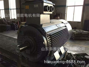 大速YXKK400-10-315KW电机江特YXKK400-10-315KW电机传动系统
