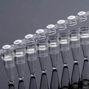 管 聚丙烯 8联排 1088 透明 qPCR 非灭菌 巴罗克0.1ml 无酶