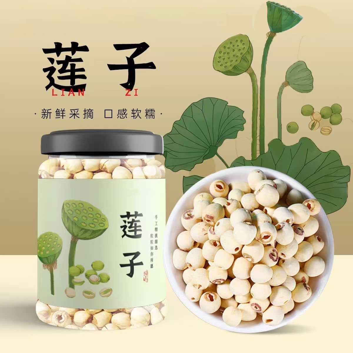 湖北洪湖2025年莲子去芯纯天然粉糯干货大颗粒无芯磨皮白莲子批发