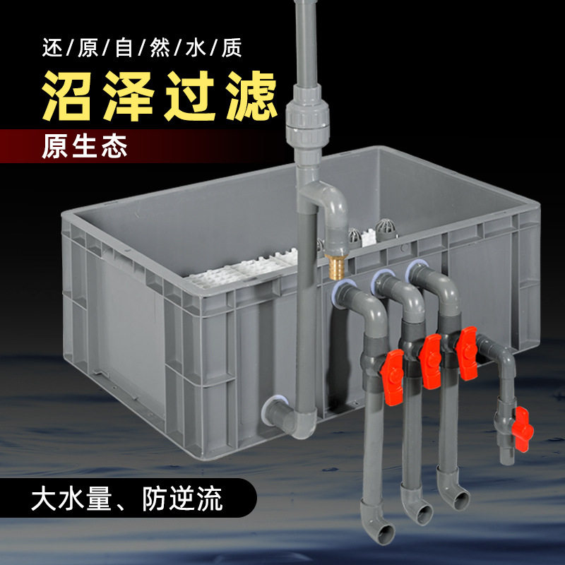 鱼池沼泽生态过滤器鱼植共生