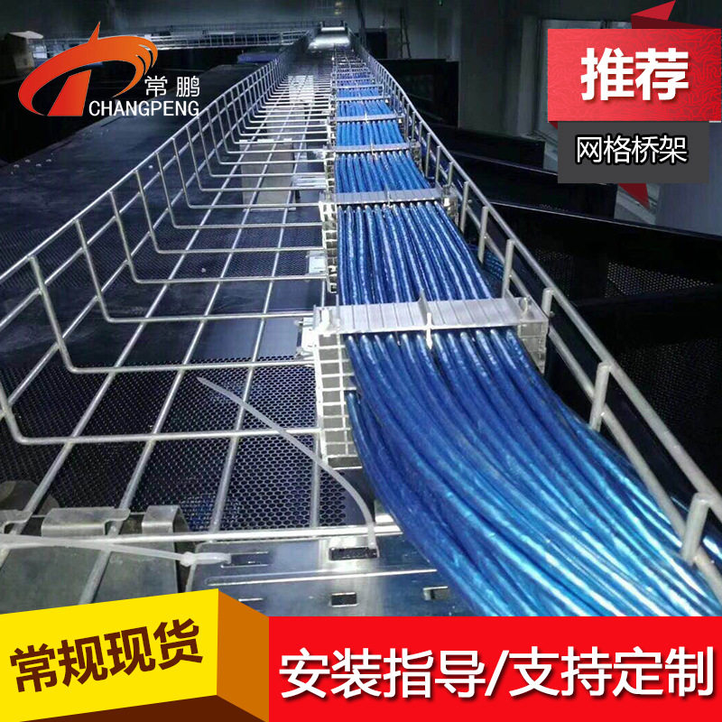 常鹏电镀锌网格式桥架250*100mm