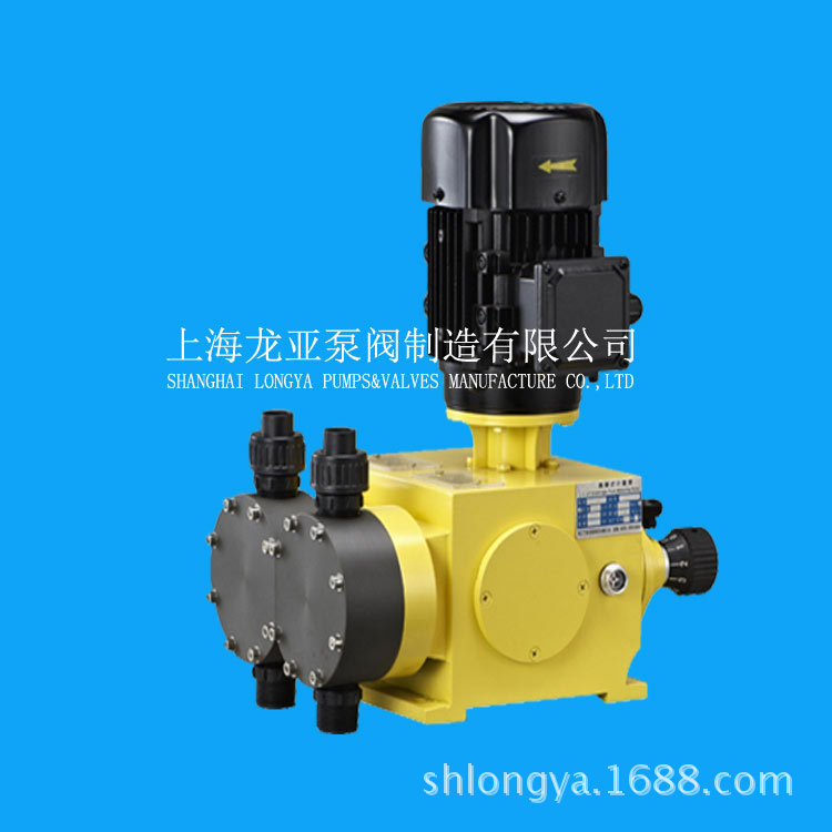 上海GB1600/0.32CaSO4H2O加药泵计量泵(图)