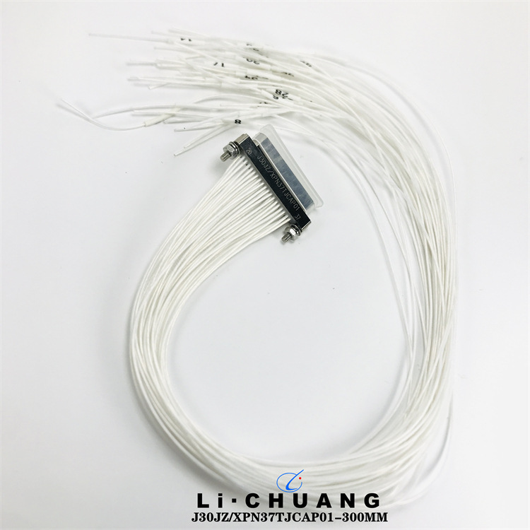 西安骊创矩形连接器J63A-2J2-031-PP1(L30)  J63A-242-025-261-TH