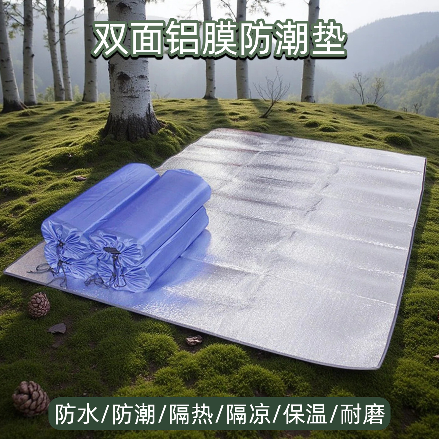 防潮垫户外露营过夜野餐垫子加厚打地铺双面铝箔睡垫隔潮帐篷地垫