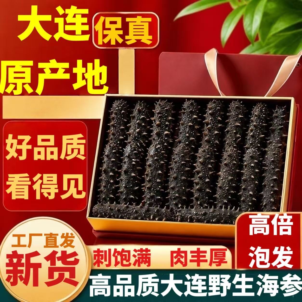 纯野生大连淡干海参辽参孕妇级