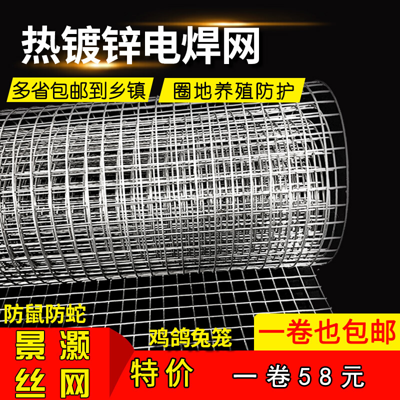 镀锌铁丝网拦鸡养殖网钢丝网防护网防鼠网菜园果园隔离网小孔围栏