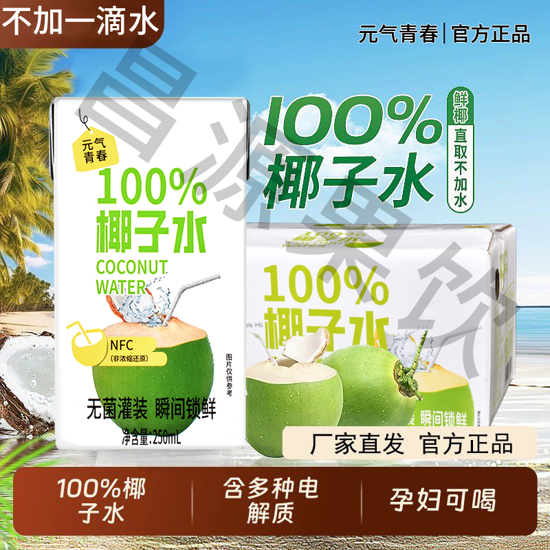 NFC正宗海南椰子水0脂0添加果汁饮料非浓缩还原清爽解渴厂家直售