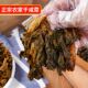 四川干盐菜巴中农家自制咸菜老坛腌制免洗梅干菜蒸烧白扣肉下饭菜