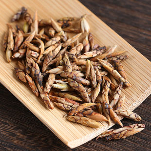 四川巴中野生老鹰茶茶叶2025新茶春茶白茶高山红茶凉茶老荫茶100g