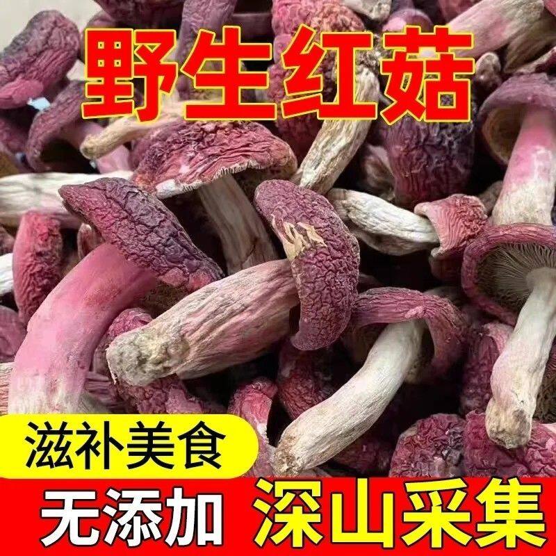 大红菇野生红菇红蘑菇干货红菌干货煲汤月子菇产地批发价红蘑菇