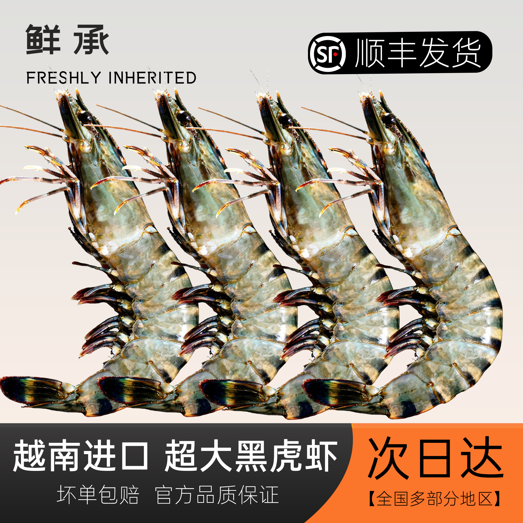 越南黑虎虾鲜活速冻超大进口老虎冻虾