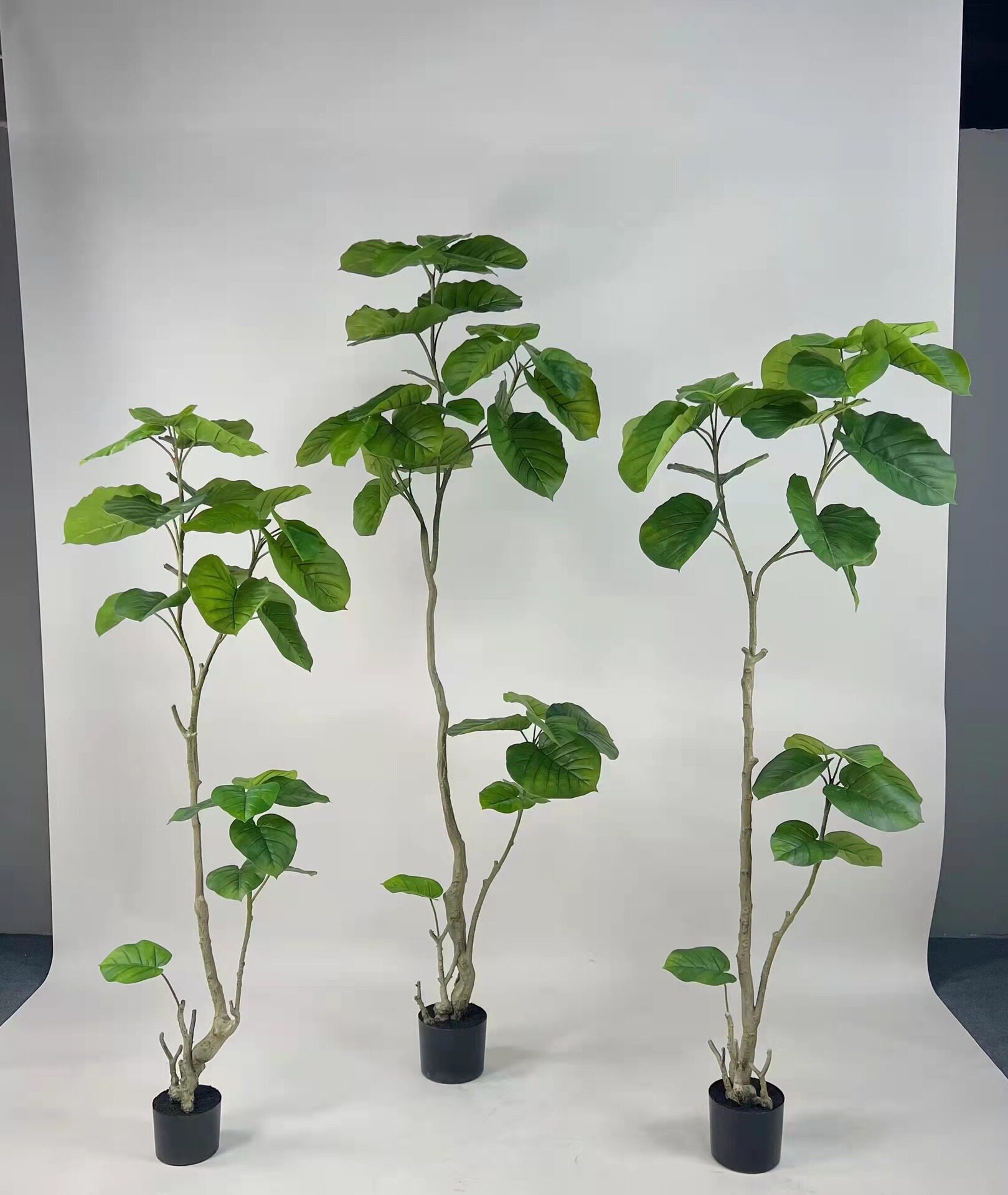 惠州厂家批发仿真植物心叶榕绿植北欧风服装店橱窗假树摆件