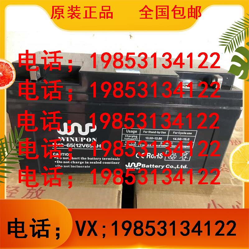 12V65AH太阳能/EPS直流屏DM12-65消防设施计算机系统 3C数码配件 电子辞典/学习机配件 原图主图