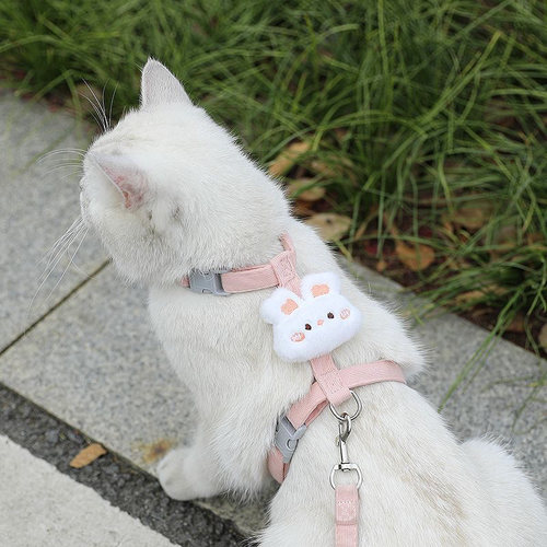 猫咪专用翅膀牵引绳可调节背带幼猫外出防挣脱宠物猫狗绳用品
