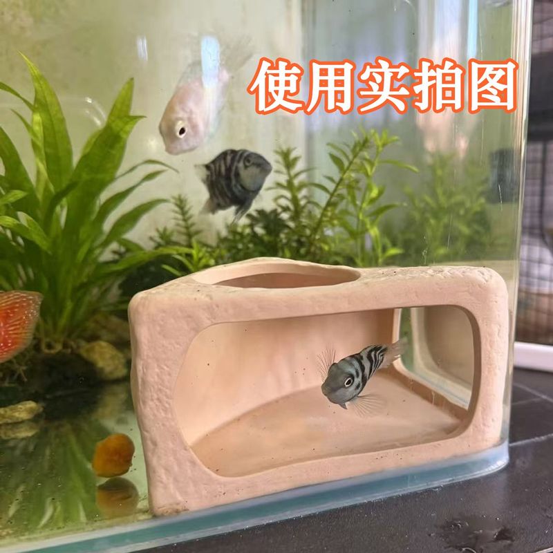 陶瓷鱼缸躲避洞鱼虾迷你鹦鹉鲷罐窝鱼繁殖可视化造景摆件