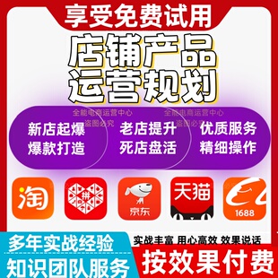 电商店铺托管指导运营规划流量排名效果陪跑产品推广诊断托管咨询
