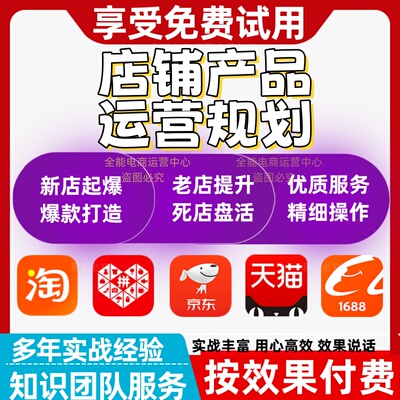 电商店铺托管指导运营规划流量排名效果陪跑产品推广诊断托管咨询