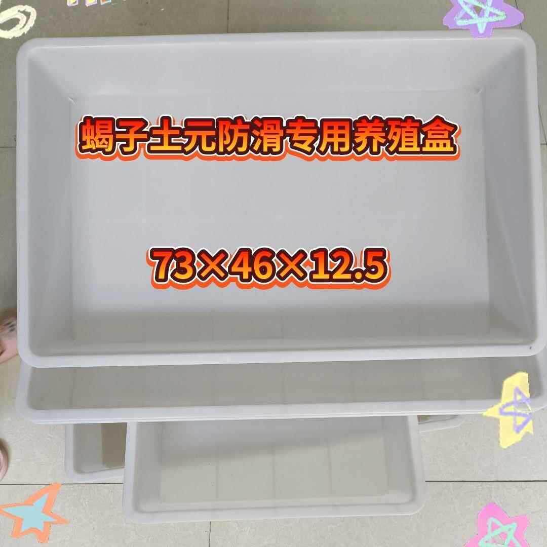 蝎子加厚塑料箱养殖育肥盒土元塑料盆养龟浅盆透明养殖箱专用盒